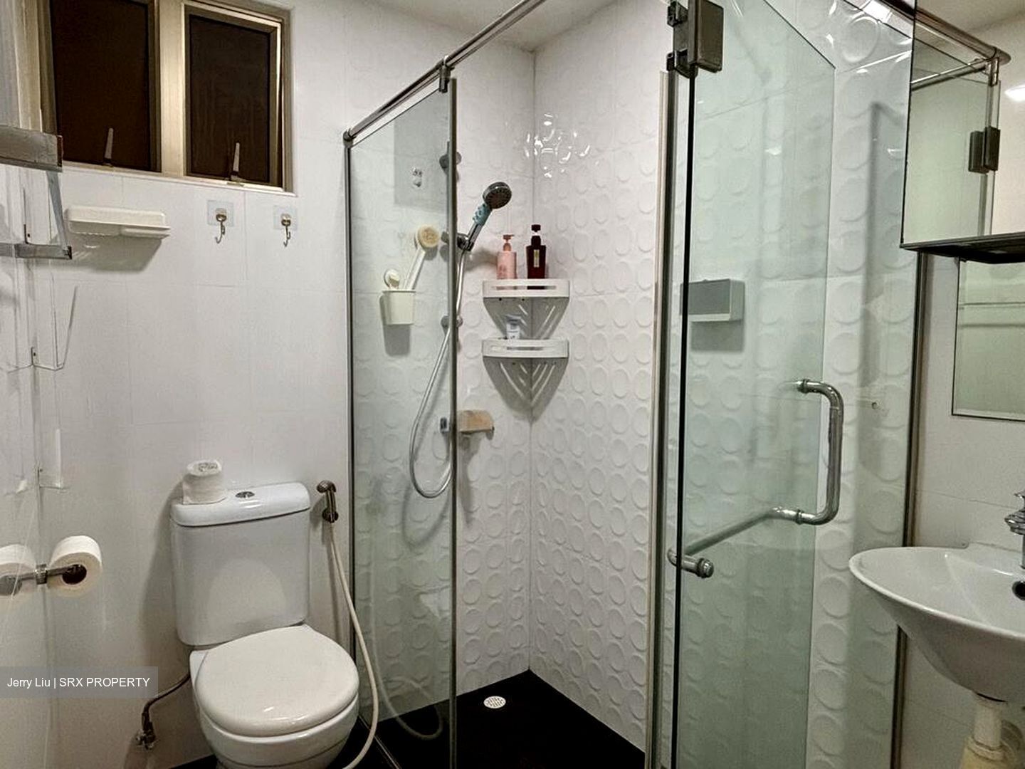 Regent Park (D5), Condominium #504296891